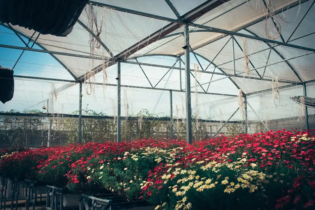 服装批发零售环节的质量管控关键点与实操方法